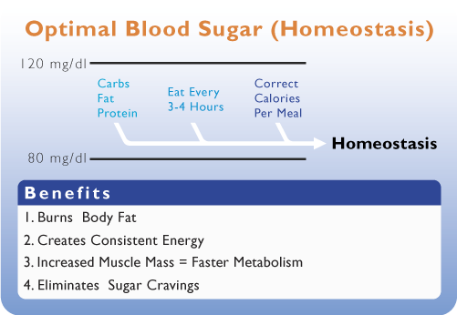 Blood Sugar Stabilization Graphic